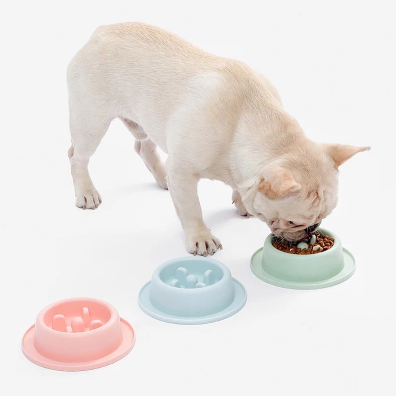 Pet Slow Eating Feeder Food Bowls Anti-Chocking