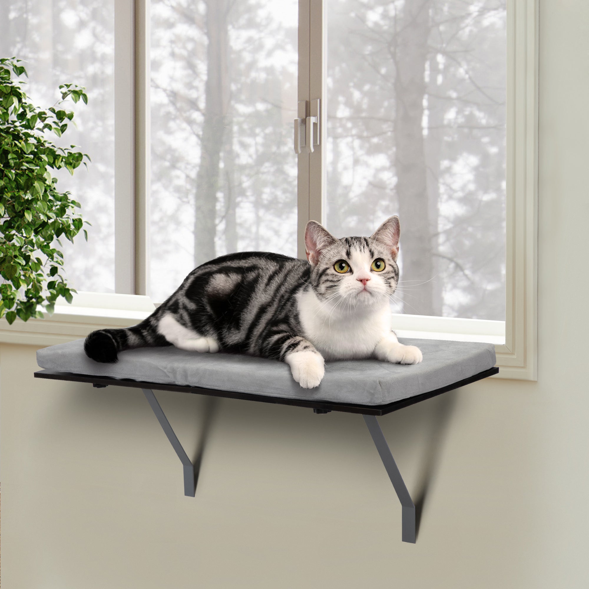 Cat Resting On Window Shelving Bed With Velvet Cushion